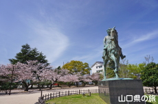 萩中央公園の桜