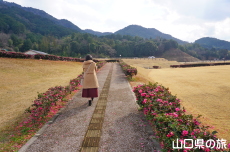 ���|�̑������̃J���c�o�L���[�h