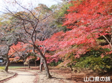 �w�������̍g�t