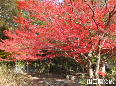 �w�������̍g�t