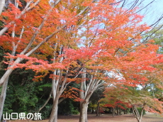 �w�������̍g�t