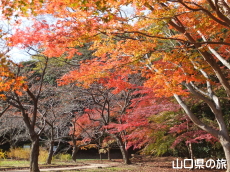 �w�������̍g�t