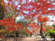 �w�������̍g�t