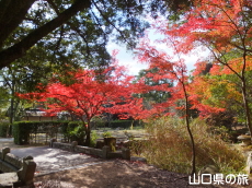 �w�������̍g�t