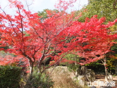 �w�������̍g�t