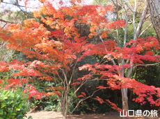 �w�������̍g�t