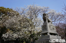 �w�������̃~�h�����V�m