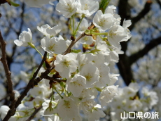 �~�h�����V�m