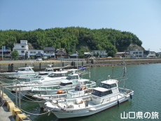 Ђ炨{[gp[N