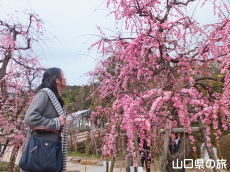 �}����~�Ɨ����_