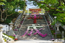 ��Βi�ԉ�L ����