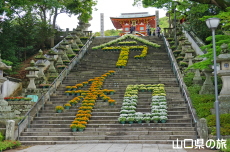 ��Βi�ԉ�L�u�ߘa�v��