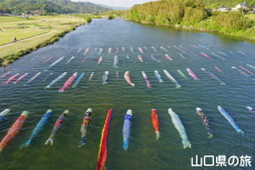 ���������̂ڂ�