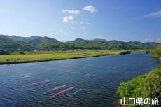 ���������̂ڂ�