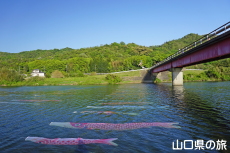 ���������̂ڂ�