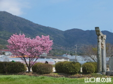 �t���_�Ђ̗z����