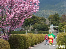 �z�����ƂԂ����[