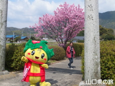 �z�����ƂԂ����[