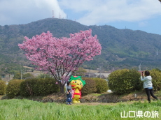 �Ԃ����[�ƋL�O�B�e