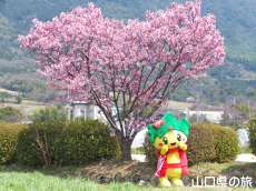 �z�����ƂԂ����[