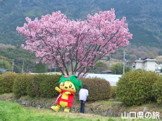 �z�����ƂԂ����[