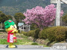 �Ԃ����[�̌�����