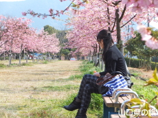 �����_�Ɖ͒Í�