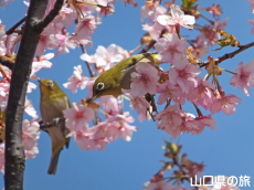 �͒Í��ƃ��W��