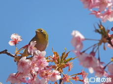 �͒Í��ƃ��W��