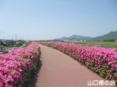 �����[�h