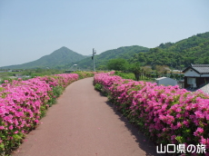 �����[�h