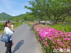 ���Ɨ����_