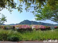 �����[�h