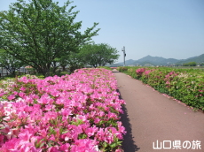 �����[�h