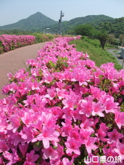 �����[�h