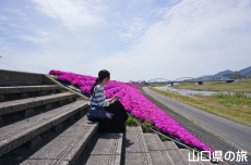 ���g��͐�̎ō�