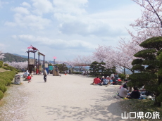 �V�_�R�����̍�