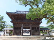 ���h�������̎R��