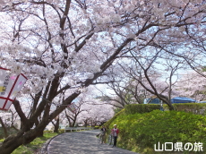 �K�R�����̍�