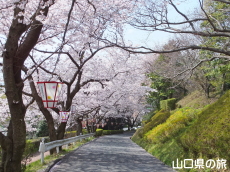 �K�R�����̍�