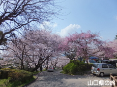 �K�R�����̍�