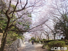 �K�R�����̍�