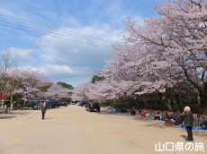 �K�R�����̍�