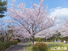 �K�R�����̍�