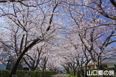 �O�c�K��ԉ��̍�����