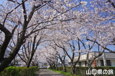 �O�c�K��ԉ��̍�����