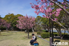 �C��������Ԃ̉��̗z����