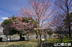 �C��������Ԃ̉��̍g�ފݍ�