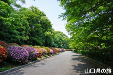 �ї����뉀�̃T�c�L