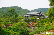 �ї����뉀�̃T�c�L